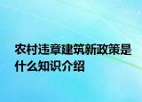 农村违章建筑新政策是什么知识介绍