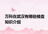 万科在武汉有哪些楼盘知识介绍