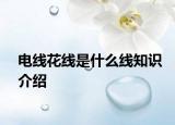 电线花线是什么线知识介绍