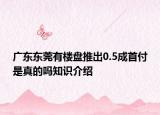 广东东莞有楼盘推出0.5成首付是真的吗知识介绍