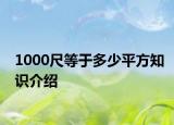 1000尺等于多少平方知识介绍