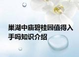 巢湖中庙碧桂园值得入手吗知识介绍