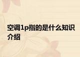 空调1p指的是什么知识介绍