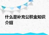 什么是补充公积金知识介绍