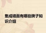 集成墙面有哪些牌子知识介绍