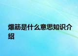爆筋是什么意思知识介绍