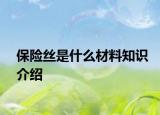 保险丝是什么材料知识介绍