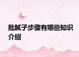 批腻子步骤有哪些知识介绍