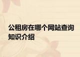 公租房在哪个网站查询知识介绍