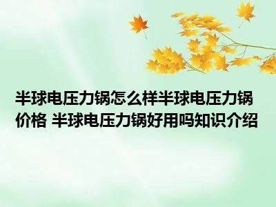 半球电压力锅怎么样半球电压力锅价格 半球电压力锅好用吗知识介绍