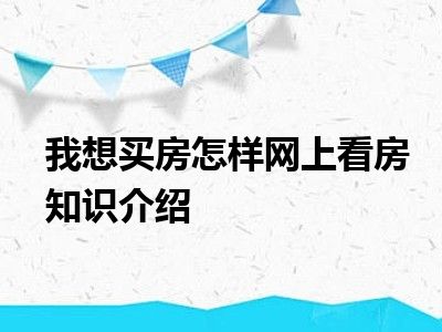 我想买房怎样网上看房知识介绍