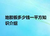 地胶板多少钱一平方知识介绍