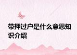 带押过户是什么意思知识介绍