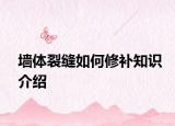 墙体裂缝如何修补知识介绍