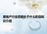 房地产行业目前处于什么阶段知识介绍