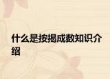什么是按揭成数知识介绍