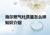 海尔燃气灶质量怎么样知识介绍