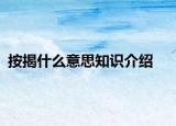 按揭什么意思知识介绍