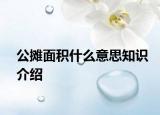 公摊面积什么意思知识介绍
