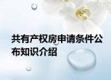 共有产权房申请条件公布知识介绍