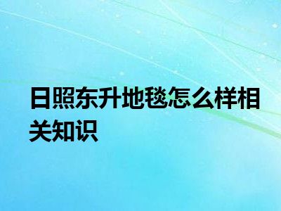 日照东升地毯怎么样相关知识