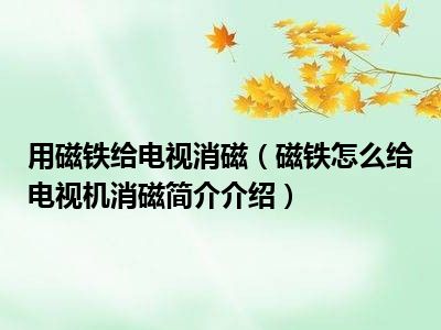 用磁铁给电视消磁（磁铁怎么给电视机消磁简介介绍）