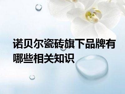 诺贝尔瓷砖旗下品牌有哪些相关知识