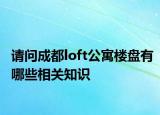 请问成都loft公寓楼盘有哪些相关知识