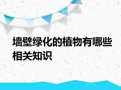 墙壁绿化的植物有哪些相关知识