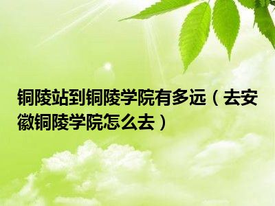 铜陵站到铜陵学院有多远（去安徽铜陵学院怎么去）