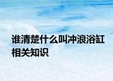 谁清楚什么叫冲浪浴缸相关知识