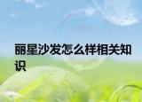 丽星沙发怎么样相关知识