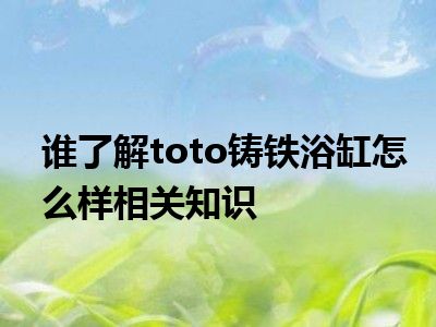 谁了解toto铸铁浴缸怎么样相关知识