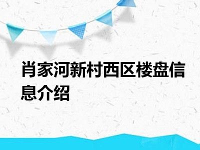 肖家河新村西区楼盘信息介绍