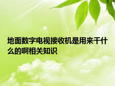 地面数字电视接收机是用来干什么的啊相关知识