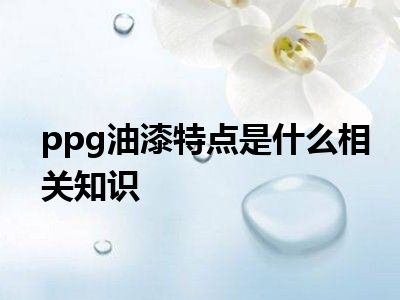 ppg油漆特点是什么相关知识