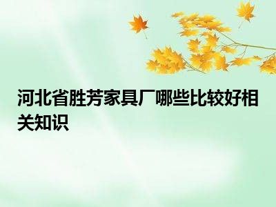 河北省胜芳家具厂哪些比较好相关知识