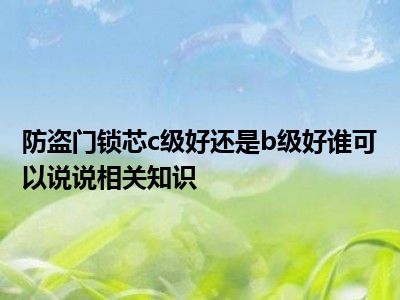 防盗门锁芯c级好还是b级好谁可以说说相关知识