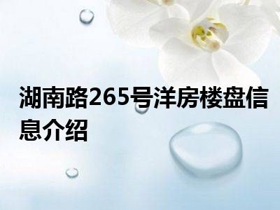 湖南路265号洋房楼盘信息介绍