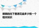 弱弱的问下普通花盆多少钱一个相关知识