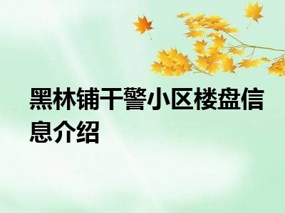 黑林铺干警小区楼盘信息介绍