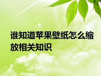 谁知道苹果壁纸怎么缩放相关知识