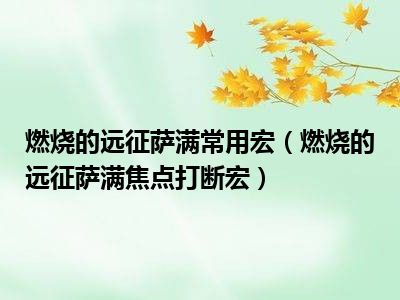 燃烧的远征萨满常用宏（燃烧的远征萨满焦点打断宏）