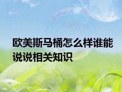 欧美斯马桶怎么样谁能说说相关知识