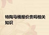 特陶马桶报价贵吗相关知识